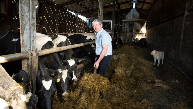 Kerry IFA chair 'glad' formal complaint has been dealt with