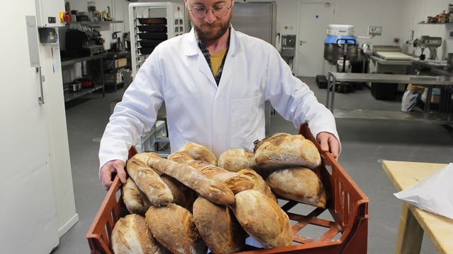 Irish start-up Niskus Biotec to receive early investment of $200,000