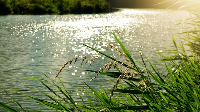 Review of local authority farmer penalties for water pollution