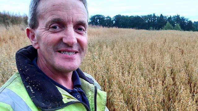 Cork farmer goes against the grain with lentils