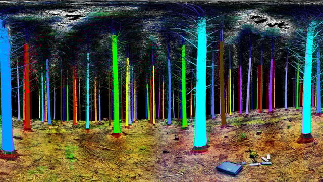 Treemetrics signs €1.2m contract with European Space Agency