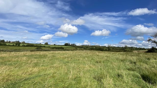 'Outstanding' 23ac farm in Clare coastal town for auction