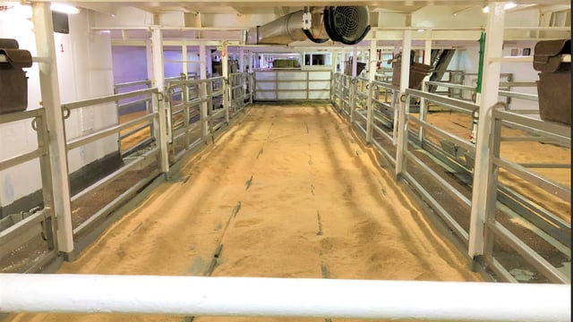 Cattle exports near 200,000  in first 4 months of 2025
