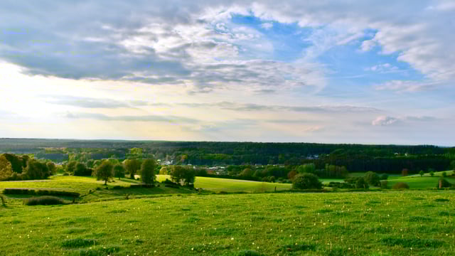 6.3% increase in agricultural land prices this year