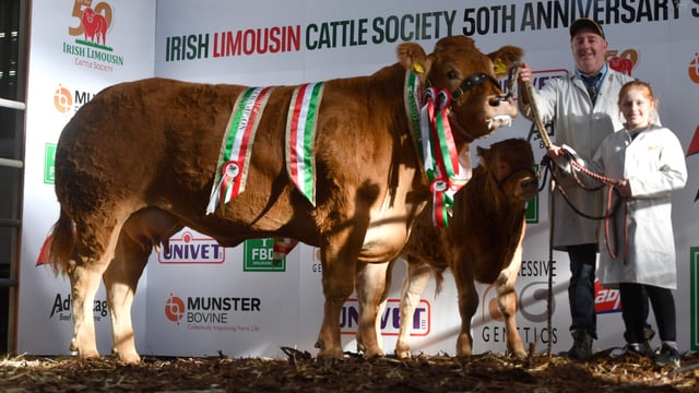 Results: Limousin society's 50th anniversary show and sale