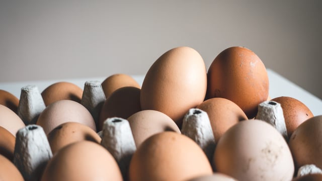 Egg producers agree price increase with Aldi suppliers