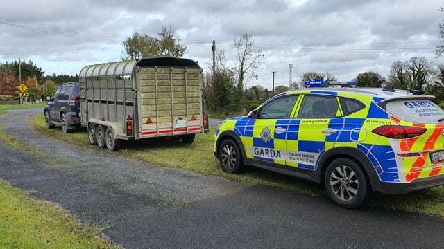 Jeep and trailer seized by Gardaí with tax expired by 2,005 days