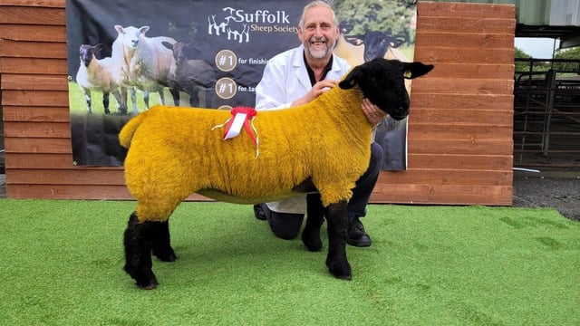Beechbrook dispersal sale to include 2022 premier sale female champion
