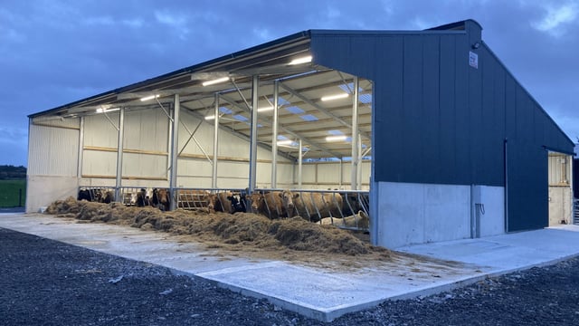 Buildings Focus: 4-bay slat, loose area and handling facility in Galway