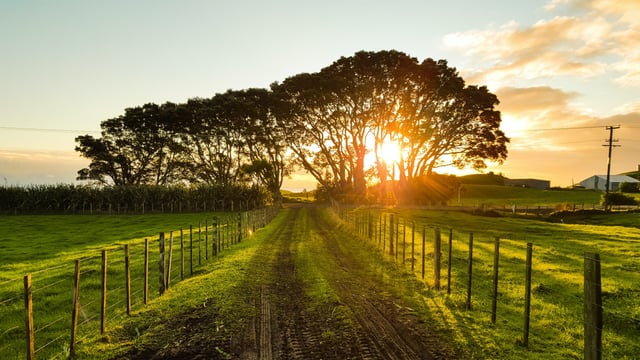 'Flexibility and a love for it' - Why do young people go into farming?