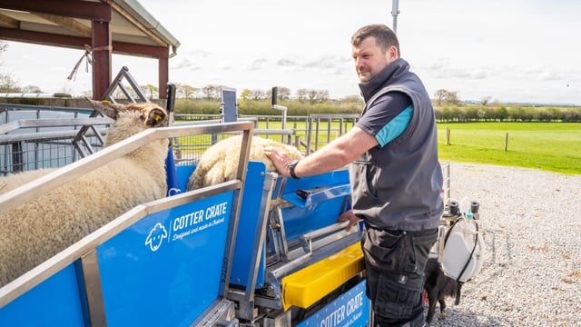 Organic sheep farming and smart technology at Limerick open day