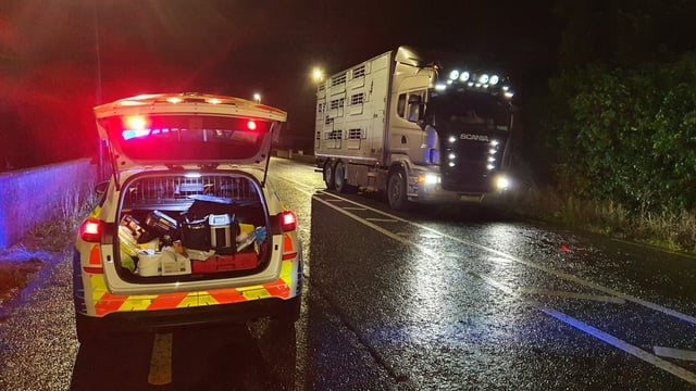 Gardaí stop cattle lorry after disqualified motorist found driving
