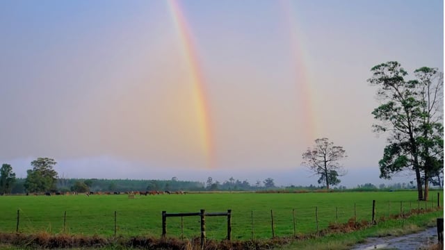 Weather largely unsettled and cooler than average this week