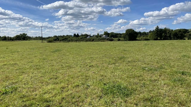 Clonlara property for sale due to retiring owner