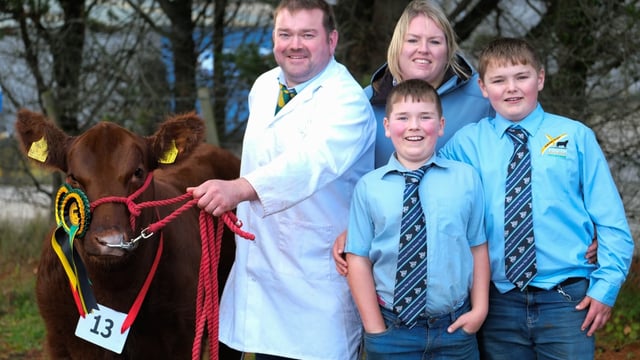 Red Aberdeen Angus cattle: Demand to produce smaller calves