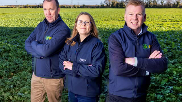 IFA and Bord Gáis Energy to offer 'rooftop solar' options