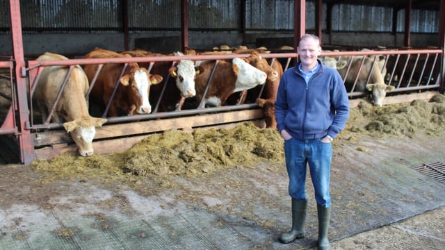 Poor weather taking its toll on farms across Northern Ireland