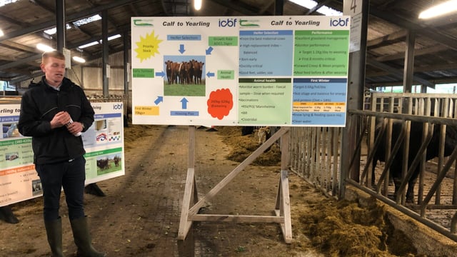 Busting the myths around earlier calving