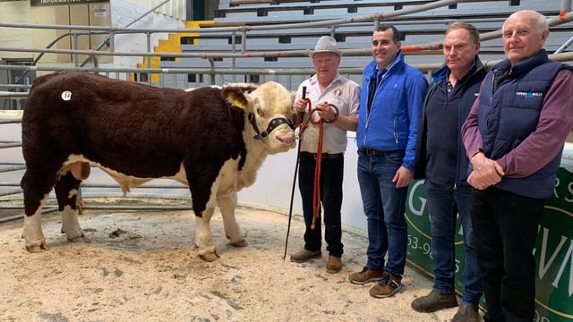 Elphin-bred bull takes top price at Kilmallock Hereford sale