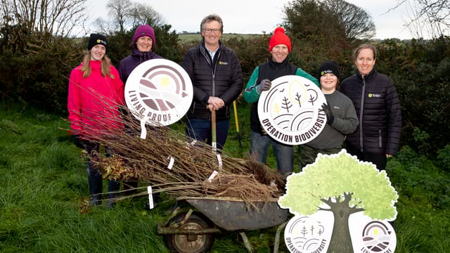 Tirlán aims to plant 450,000 native trees and hedgerows by 2025