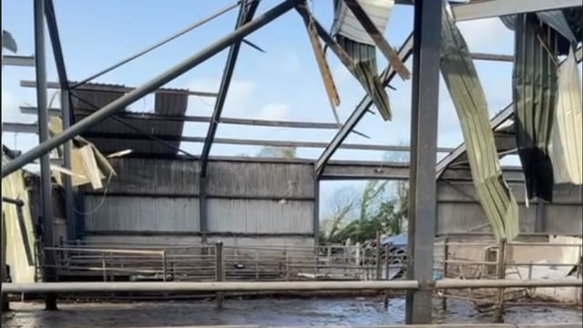 Video: Livestock killed and farm damaged as 'tornado like' winds hit Wexford