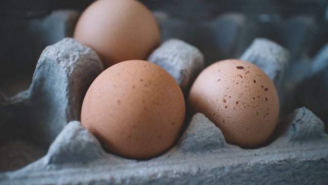 Bird flu: how is it impacting on free range egg and poultry farmers?
