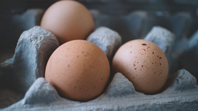 A top quality diet 'best investment' poultry farmers can make - specialist