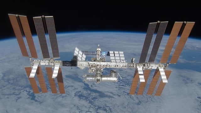 Seeds launched into space as part of climate change project