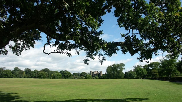 Urban green spaces important for 92% of people in Ireland