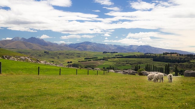 EU free trade agreement with NZ to enter into force in May