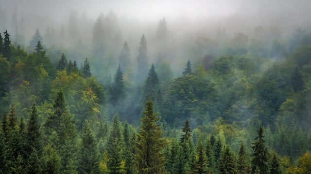 MEPs to vote on binding emissions reduction targets