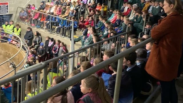 700 kids attend farm safety day at Carnew Mart