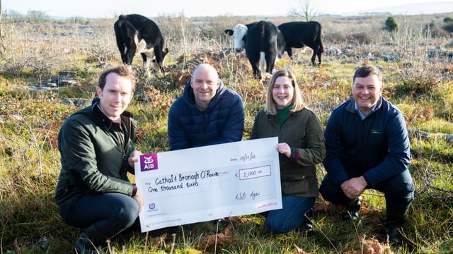 Burren farm business wins Newbie New Entrant Competition