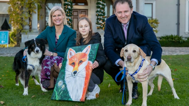 Animal welfare charities to get €5.8 million - DAFM