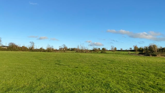 Bumper auction as Wexford land sells for double guide price