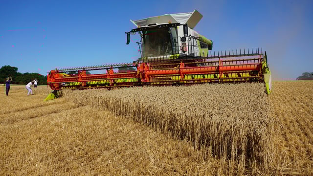 EU’s agricultural labour productivity up by 13% in 2022