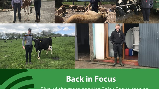 Dairy throwback series to go live over the festive period