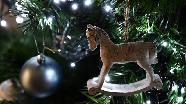 ESB Networks issues Christmas safety message