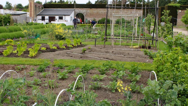 Festina Lente gets grant for horticulture study