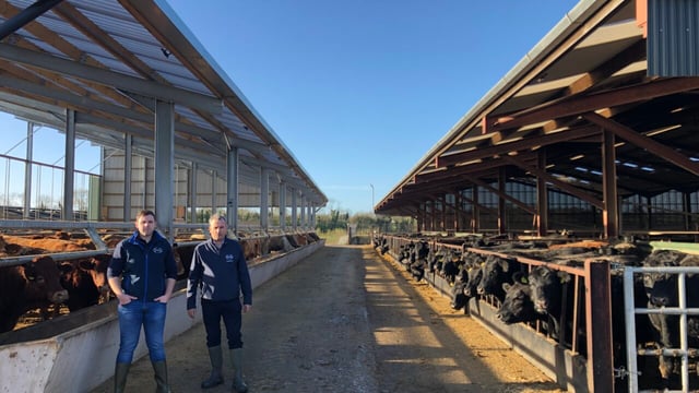 Beef Focus revisit: Foyle's beef unit and 1,100ac research farm
