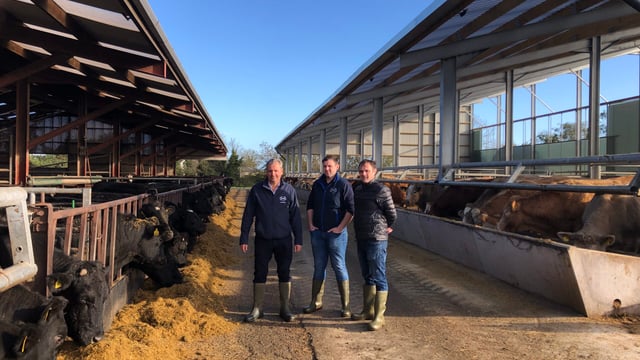 Factory offering farmers free AI straws ‘to show benefit of better genetics’