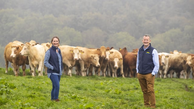 Dawn Meats to invest €100 million in 2040 net-zero target