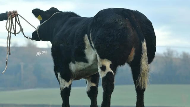 Jalex sale total comes to £413,000