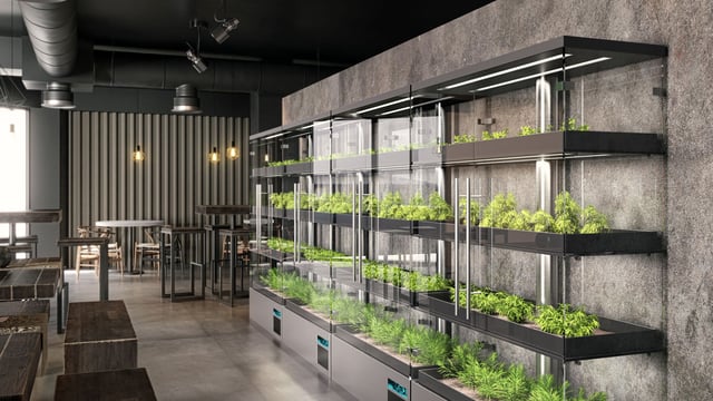 The twentysomethings changing the future of agriculture
