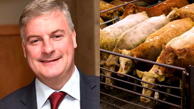 €6/kg is 'absolute minimum' beef price for winter finishers to seek