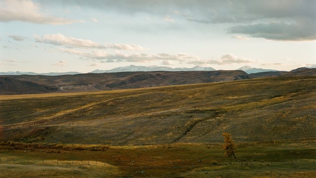 'Biocredits' - global demand growing to fund biodiversity action