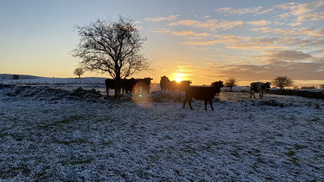 Low temperature and ice warning issued for Ireland