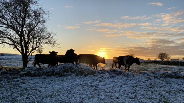 Weekend weather: Sleet, ice and snow as freeze sets in