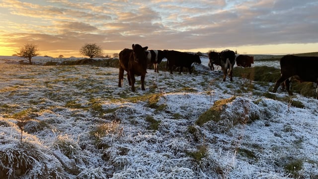 Met Éireann issues warning for low temperatures and ice