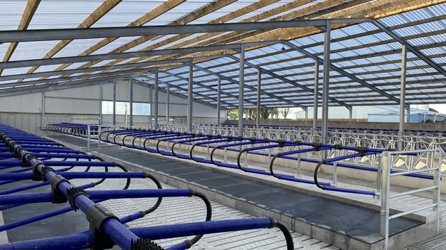 Buildings Focus: 124-cubicle shed in Galway